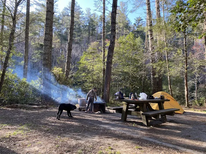 Burrell’s Ford Campground Picture 3