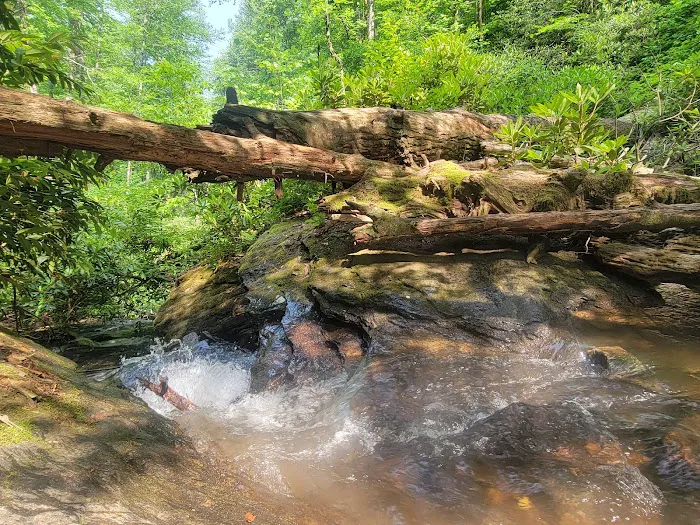 Burrell’s Ford Campground Picture 2