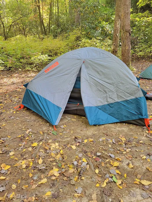 Burrell’s Ford Campground Picture 7