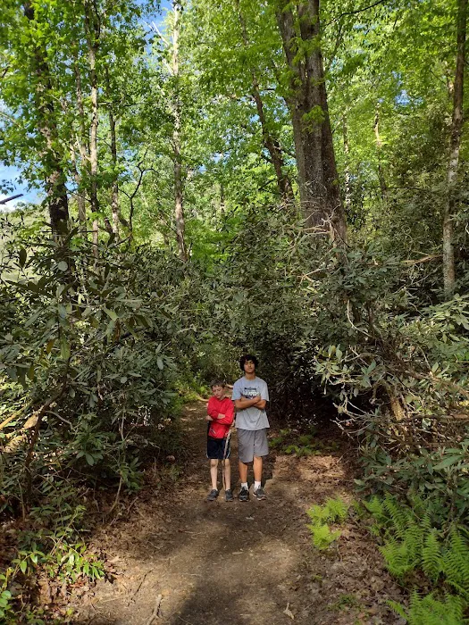 Burrell’s Ford Campground Picture 4