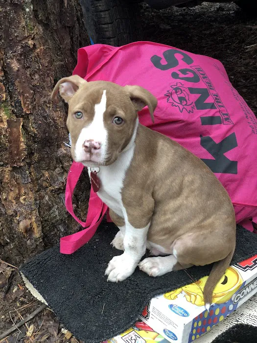 Long Bottom Ford Campground Picture 1