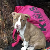 Long Bottom Ford Campground ico