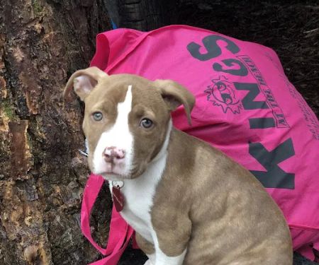 Long Bottom Ford Campground