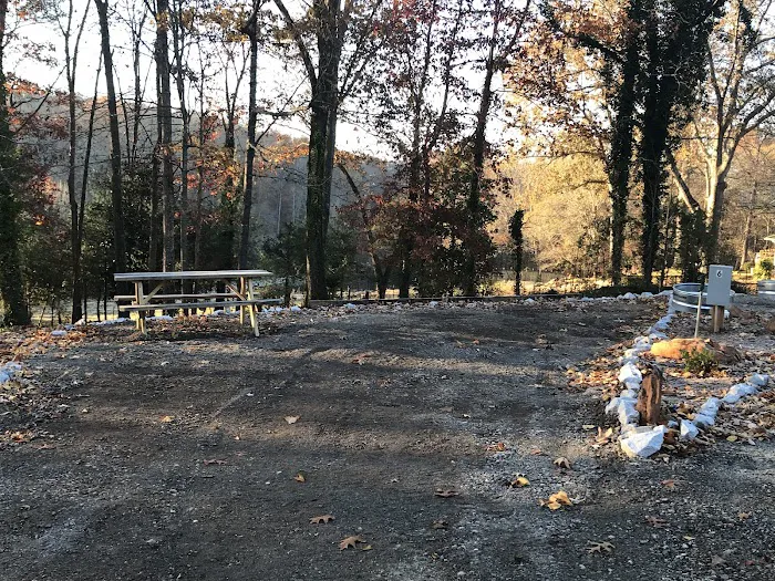 Tiger Mountain RV Camping & Cabins Picture 3