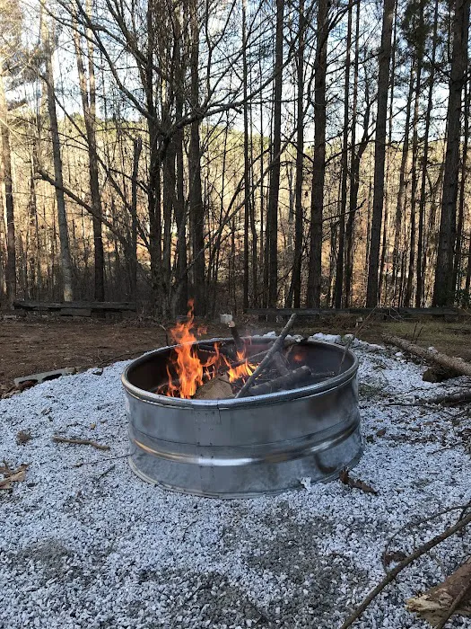 Tiger Mountain RV Camping & Cabins Picture 4