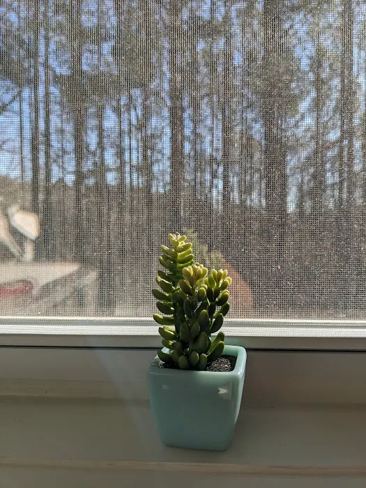 Tiger Mountain RV Camping & Cabins Picture 9