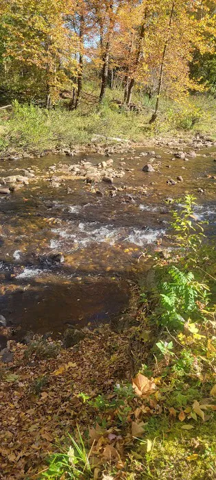 Pigeon River Campground Picture 10