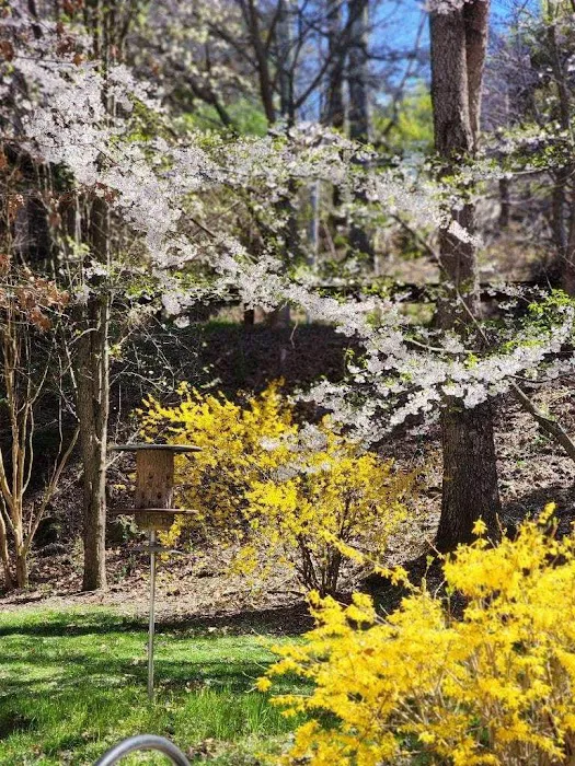 Pigeon River Campground Picture 1