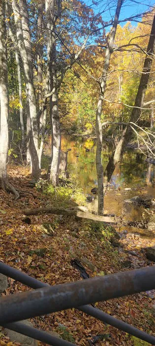 Pigeon River Campground Picture 8