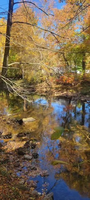 Pigeon River Campground Picture 7