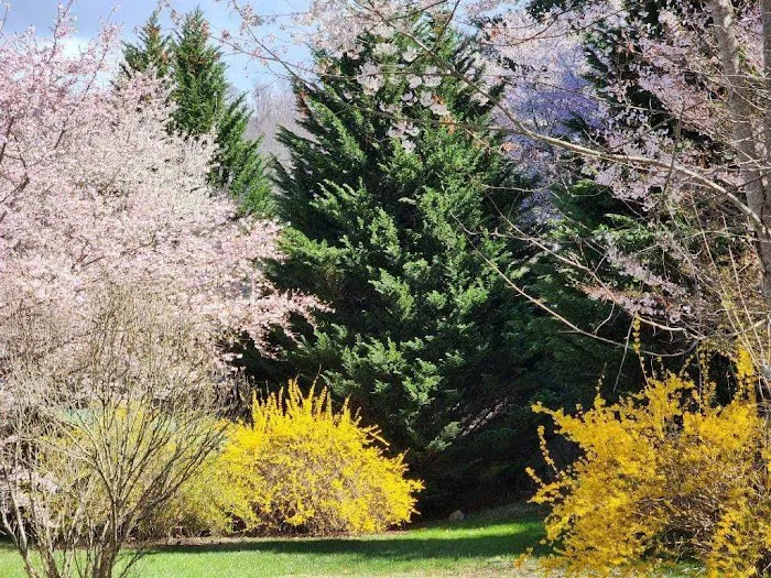 Pigeon River Campground Picture 3