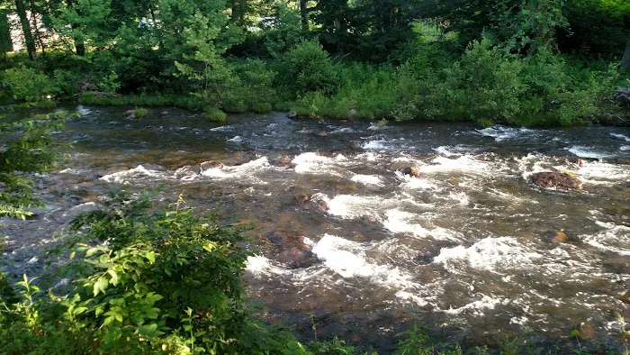 Pigeon River Campground Picture 9