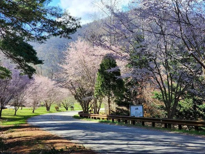 Pigeon River Campground Picture 4