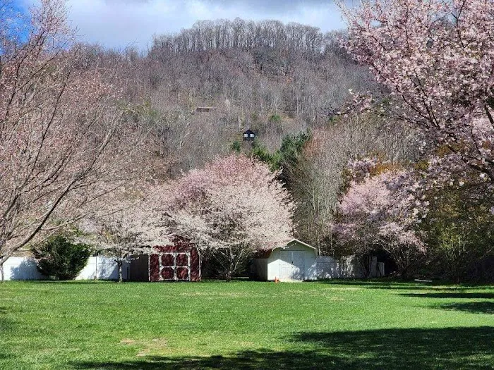 Pigeon River Campground Picture 2