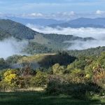 The Glamping Collective