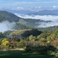 The Glamping Collective ico