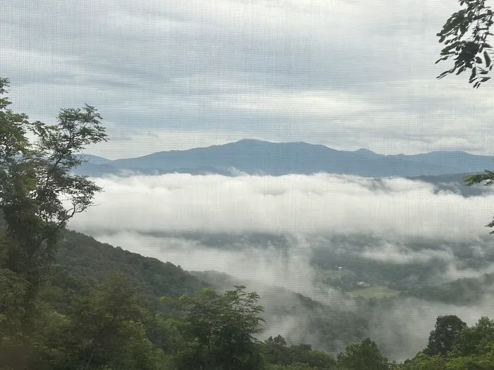 The Glamping Collective Picture 5