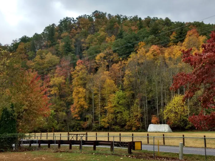 Mountain Shadows Campground Picture 2