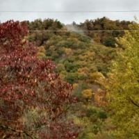 Mountain Shadows Campground ico