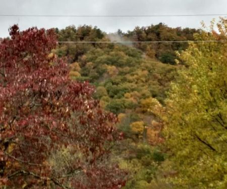 Mountain Shadows Campground