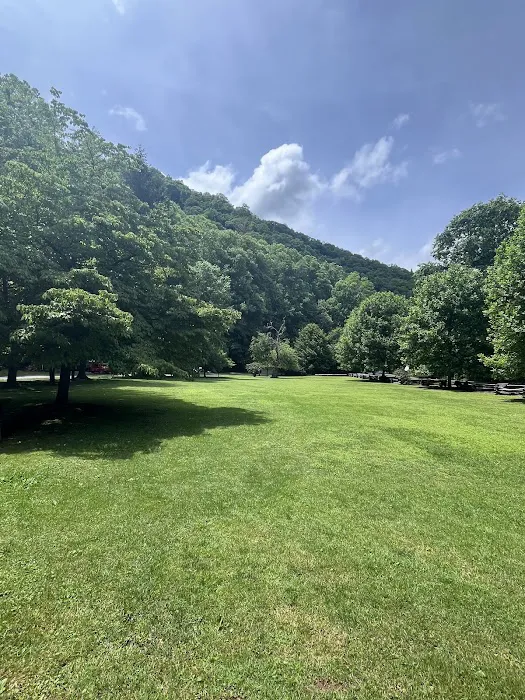 Sunburst Campground Picture 4