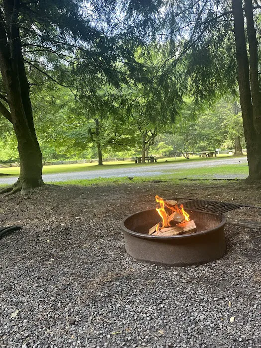 Sunburst Campground Picture 3