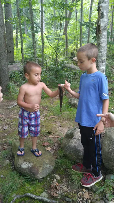 Sunburst Campground Picture 5