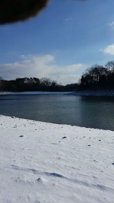 Lost Creek RV Park Picture 4