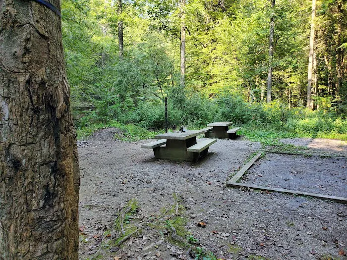 Lost Creek RV Park Picture 7