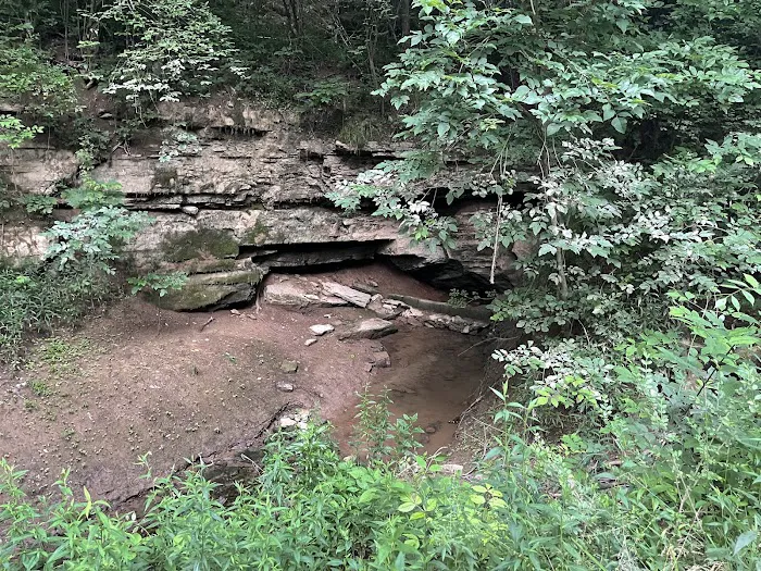 Clinchview RV Park Picture 5