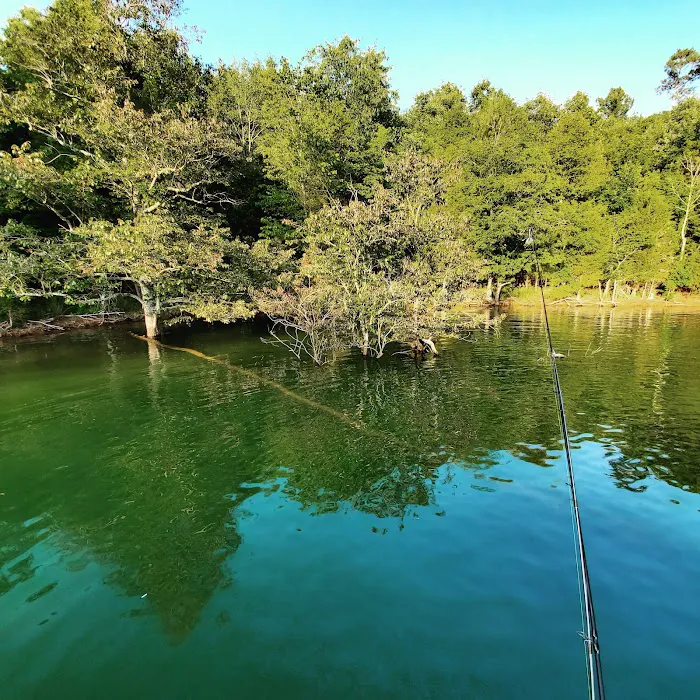 Card'nal Cove Campground and Marina Picture 3