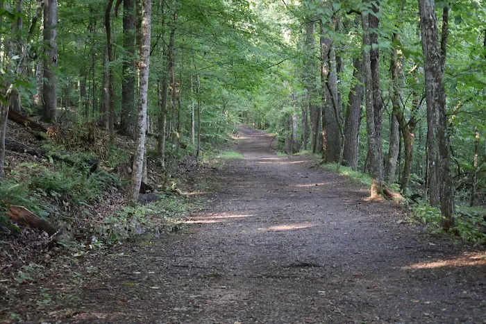 Panther Creek State Park Campground Picture 9