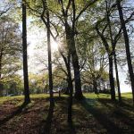 Cherokee Dam Campground