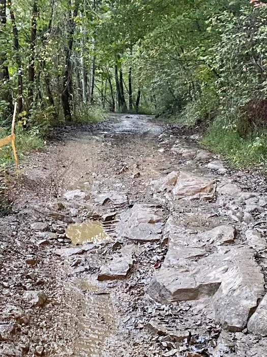 Big Creek ATV Campsite Picture 1