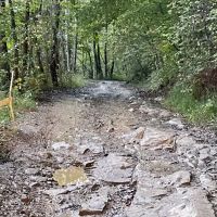 Big Creek ATV Campsite ico