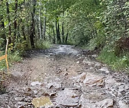 Big Creek ATV Campsite