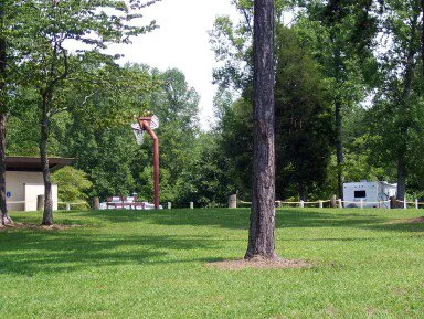 Loyston Point Campground Picture 10