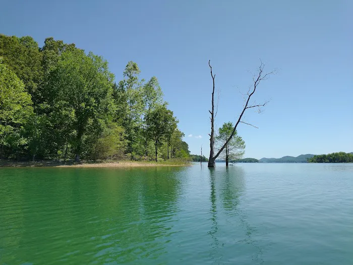 Loyston Point Campground Picture 4