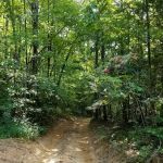 Ridges At Royal Blue