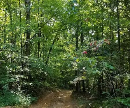 Ridges At Royal Blue