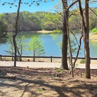 Big Ridge - Group Camp ico