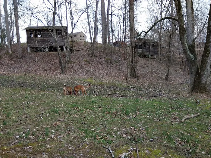 Big Ridge - Group Camp Picture 8