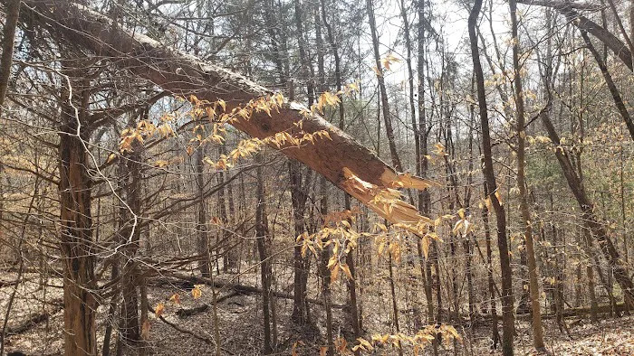 Big Ridge - Group Camp Picture 9