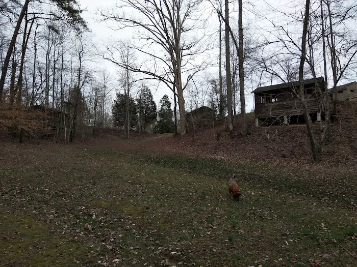 Big Ridge - Group Camp Picture 7