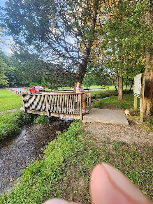 Big Ridge State Park Campground Picture 7