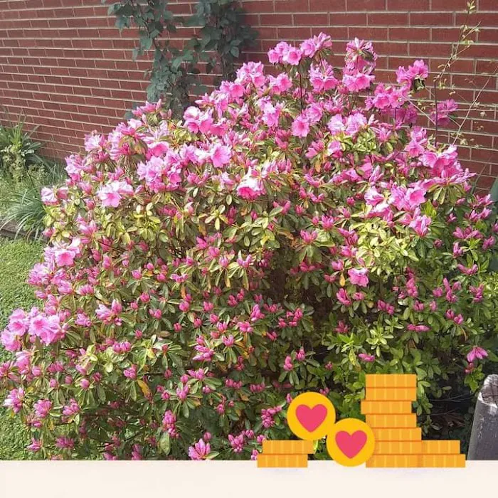 Sunshine Acres Camp & Cabins Picture 8