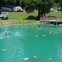 Lake Cove Resort & Realty ico