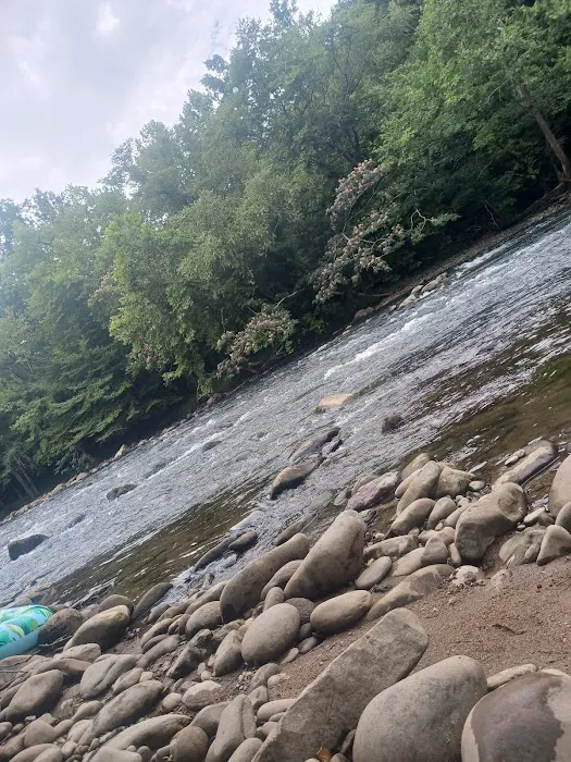 The River Life Picture 5