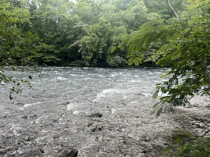 The River Life Picture 2