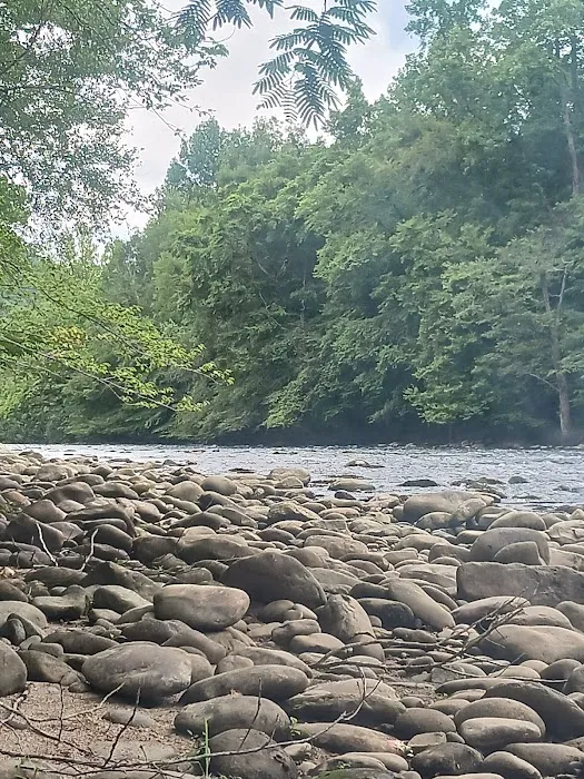 The River Life Picture 6